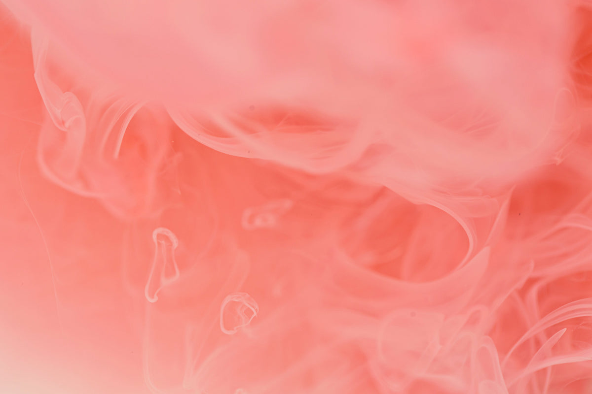collection-banner-image